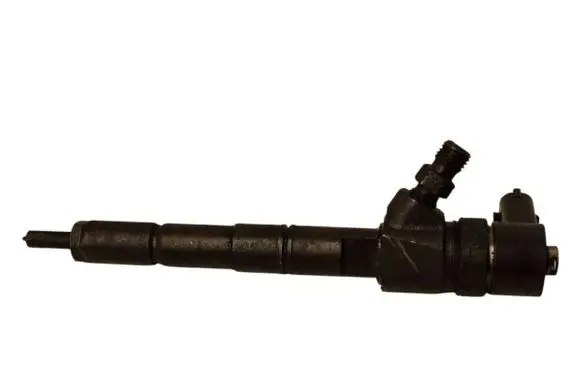 Citroen Berlingo Fuel injector 0445110423 55577668