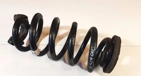 Rear coil spring