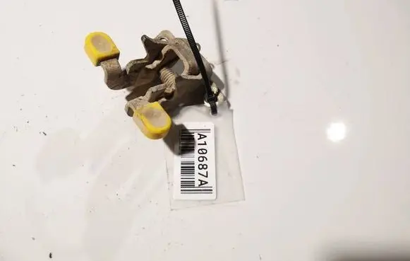 Rear door lower hinge