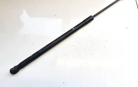 Tailgate/trunk strut/damper