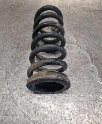 Rear coil spring