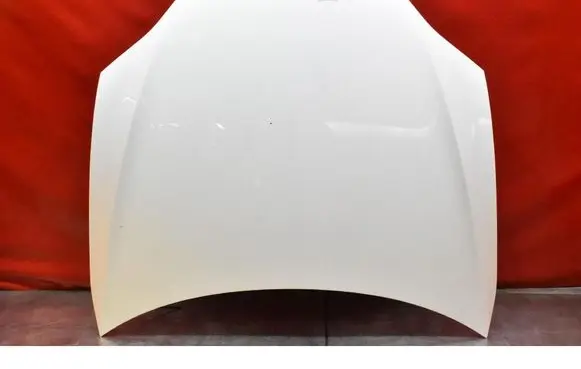 Tesla Model S Engine bonnet/hood
