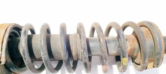 Rear coil spring