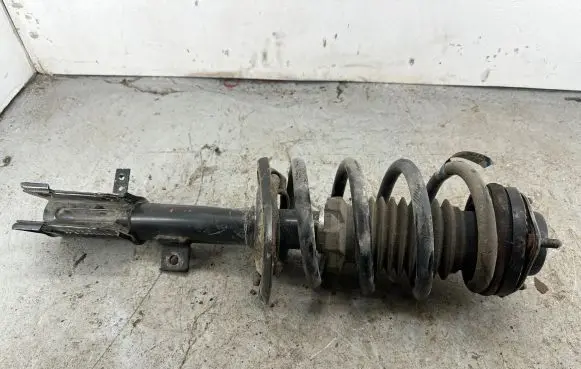 Dodge Journey Front shock absorber with coil spring 0118756 12767884