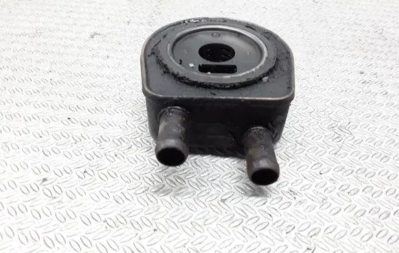 Renault Laguna II Oil filter mounting bracket 3743011 4360055