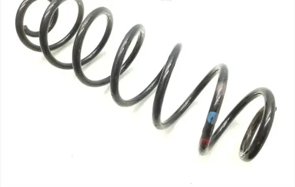Rear coil spring