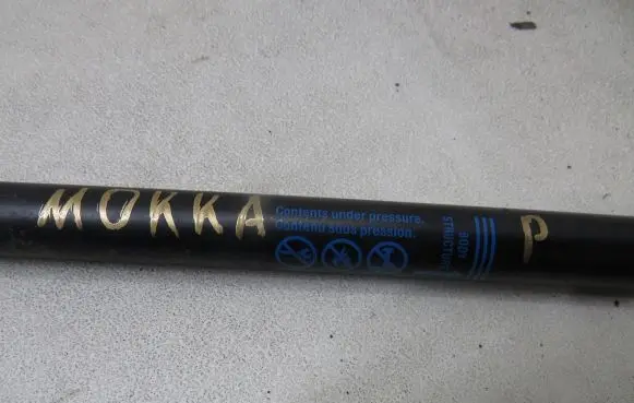 Opel Mokka Tailgate strut 95095593