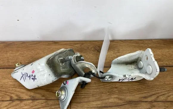 Ford Edge II Rear door hinge set ZAWLTEDGE