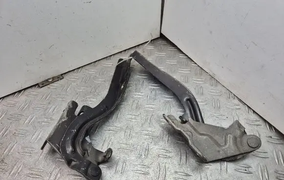 Engine bonnet/hood hinges