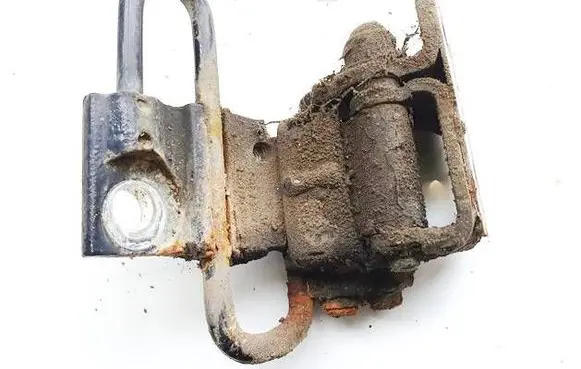 Volkswagen PASSAT B7 Rear door lower hinge 3C8833411B