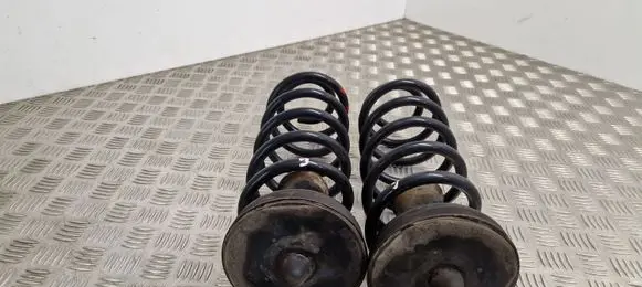 Rear coil spring