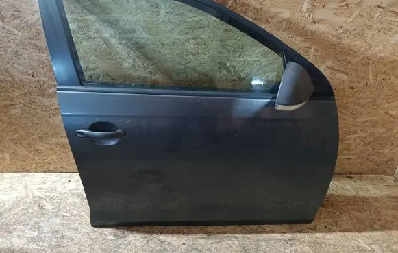 Volkswagen Golf V Front door
