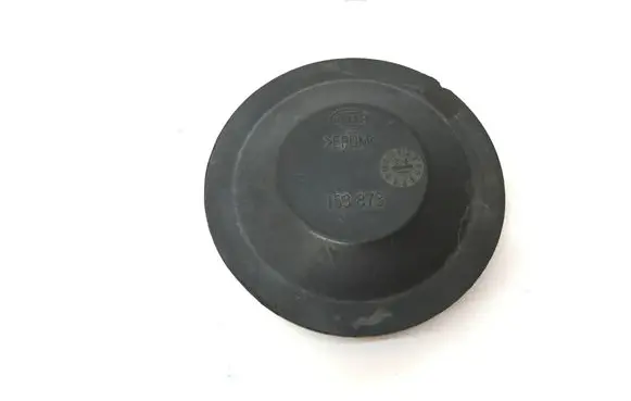 Volkswagen PASSAT B6 Headlight/headlamp dust cover 153873