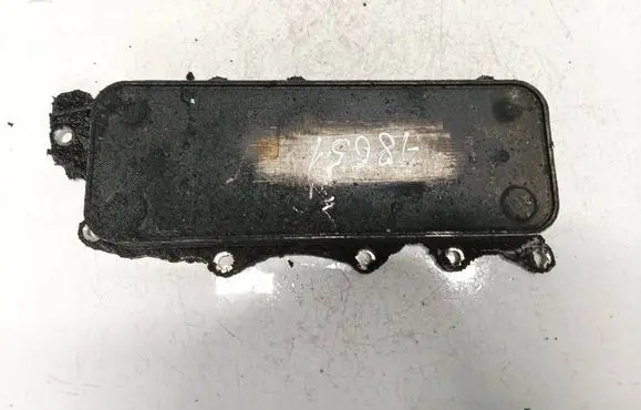 Mercedes-Benz R W251 Engine oil radiator 6421800165