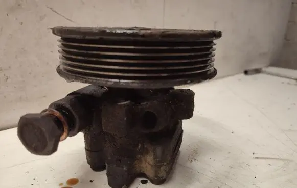 Hyundai Santa Fe Power steering pump