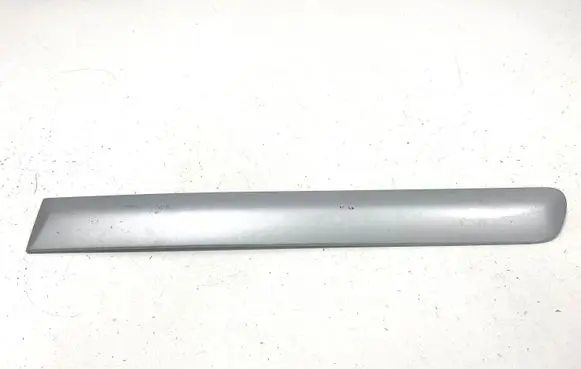 Rear door trim (molding)