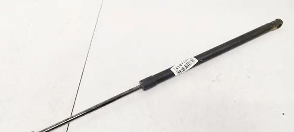 Tailgate/trunk strut/damper