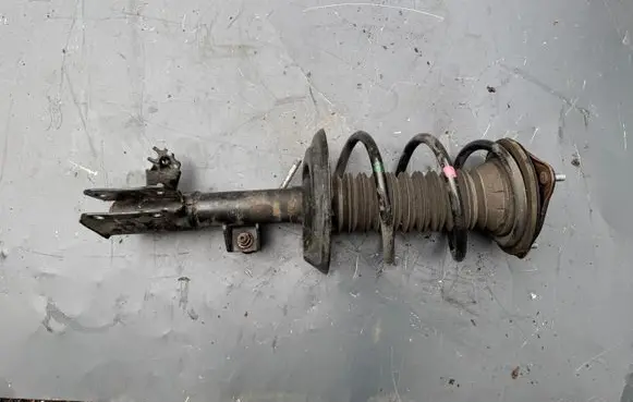Toyota RAV 4 (XA50) Front shock absorber/damper 4852042730 1A19742B