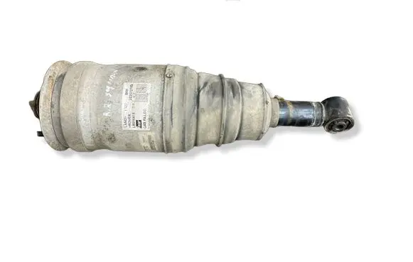 Land Rover Range Rover Sport L320 Rear shock absorber/damper LR016418