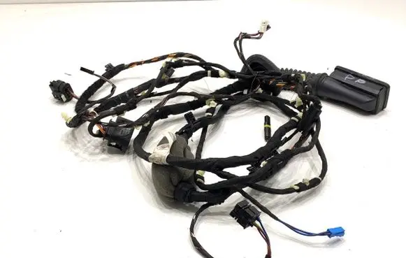 BMW X4 G02 Front door wiring loom 5A48E65