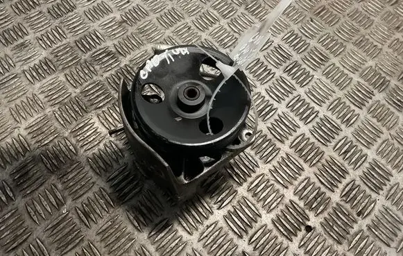 Chevrolet Captiva Power steering pump