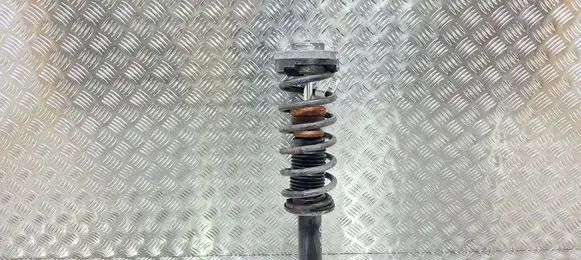 BMW X3 F25 Rear shock absorber/damper S27698499 6796422