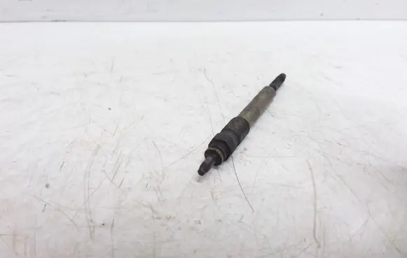 Citroen Xsara Picasso Glow plug 0250202032