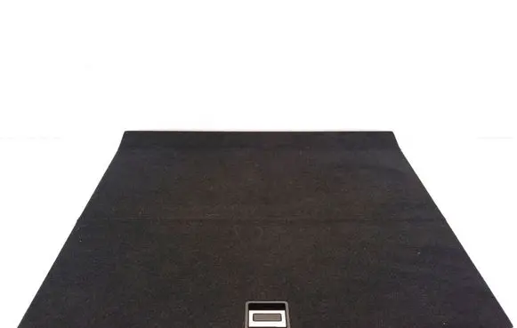 Lexus RX 450H Trunk/boot mat liner 58410-48130