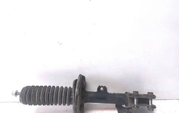 Lexus RX 450H Front shock absorber/damper 4852048410