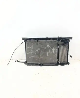 Peugeot 308 Radiator support slam panel 9650318080
