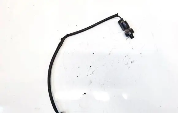 Hyundai Santa Fe Oil level sensor 