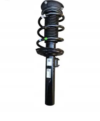 Ford Transit - Tourneo Connect Front shock absorber with coil spring 5R3412021KF