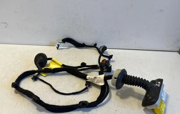 Opel Vivaro Front door wiring loom 9824875280