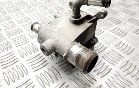 Thermostat/thermostat housing