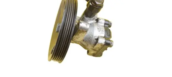 Hyundai Santa Fe Power steering pump G4JS