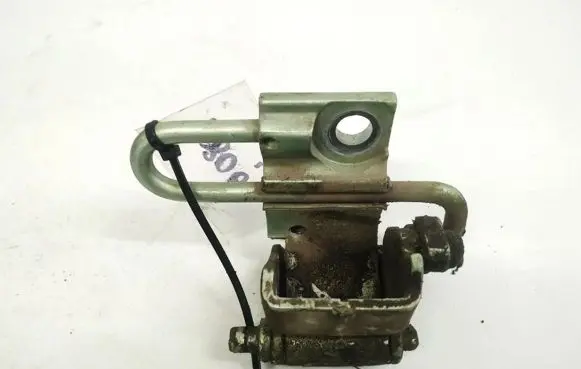 Rear door lower hinge