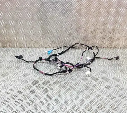 Tesla Model 3 Other wiring loom T85556B 812144970