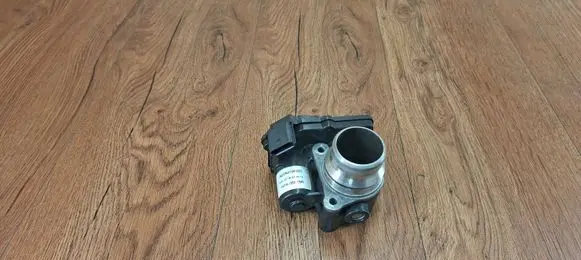 Renault Megane IV Throttle valve H8201374868