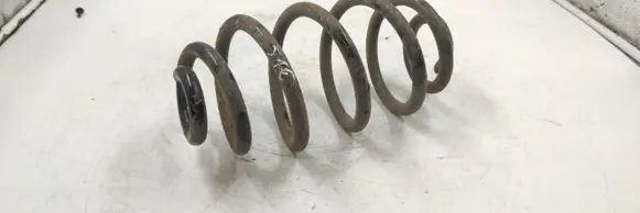 Rear coil spring