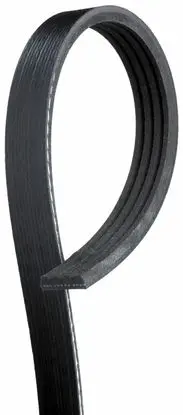 Ford Focus Alternator belt 1854337