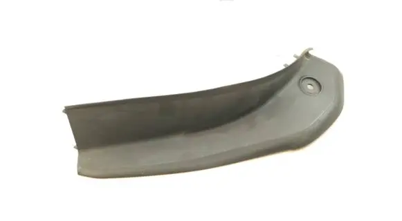 Rear/tail light trim molding