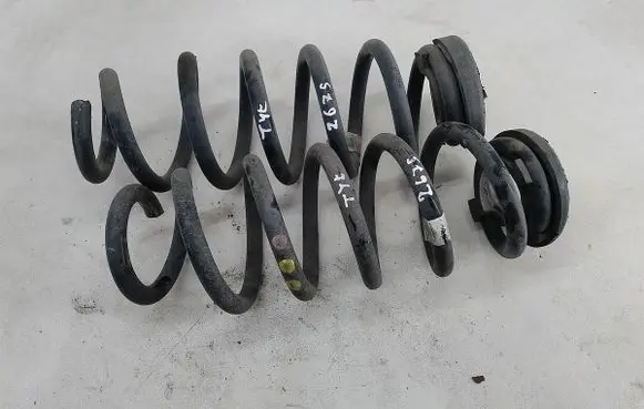 Rear coil spring