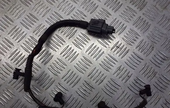 Chrysler Grand Voyager IV Fuel injector wires 