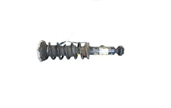 BMW X3 G01 Rear shock absorber/damper 6887148