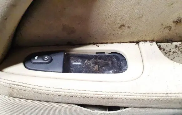 Jaguar S-Type Electric window control switch