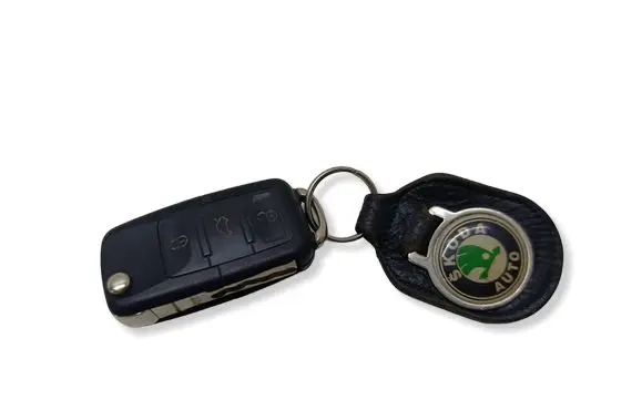 Skoda Octavia Mk2 (1Z) Ignition key/card 