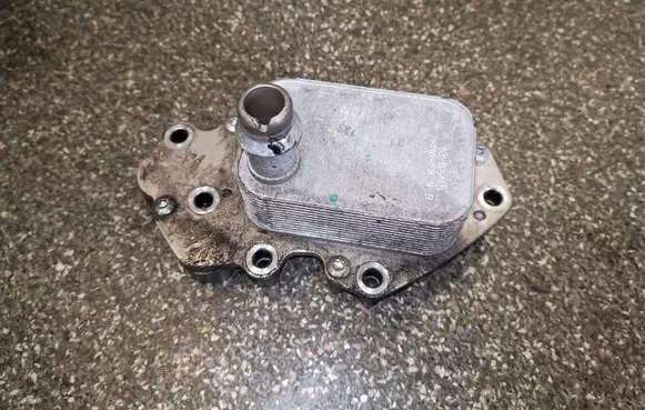 Opel Mokka Oil filter mounting bracket 55599943