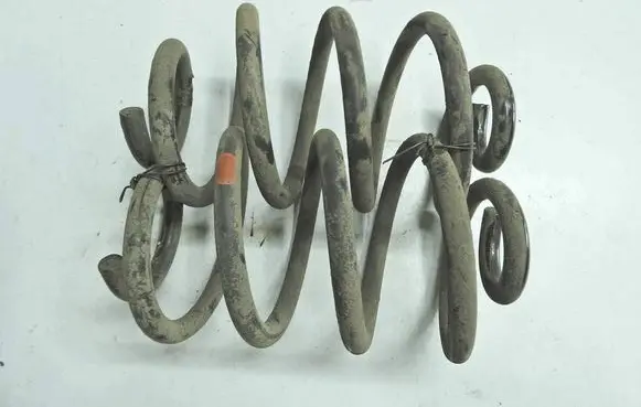 Rear coil spring