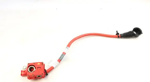 BMW 5 GT F07 Positive cable (battery) 9217036 9217034
