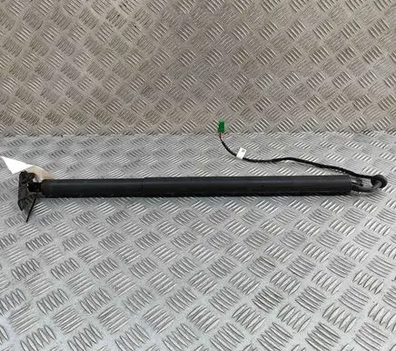 Tailgate/trunk strut/damper